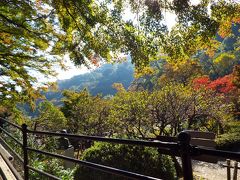 3歳0ヶ月子連れで熱海 熱海梅園と真鶴オシャレランチ