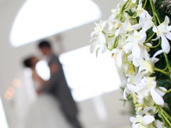 ハワイでの結婚式　ハレクラニ＆プリンセスラグーン