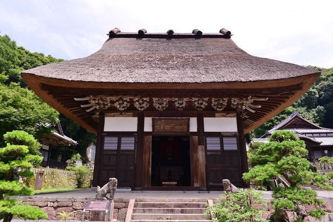 国東町浜崎のヒマワリを見ての帰り、かつて九州曹洞宗の総本山であった泉福寺へ立ち寄りました。
