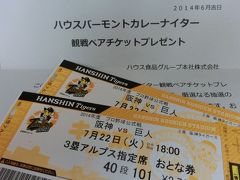 阪神 vs 巨人   　プロ野球は応援が楽しい ♪