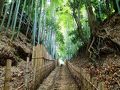 佐倉・四街道の旅行記