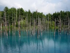 富良野＆美瑛と青い池