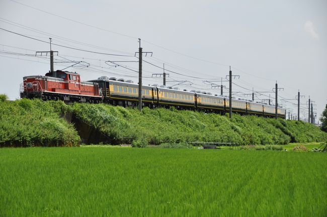 ７月２０日（日）は、関西の鉄道ファンの皆様にとって、燃えるような一日（笑）だったかもですね。私もその中の一人です。（笑）<br /><br />その日は、琵琶湖西岸を通り、関西と北陸を結んでいるＪＲ湖西線で、湖西線開業４０周年号＆市民号が運行されました。ＤＤ５１型ディーゼル機関車が客車の「サロンカーなにわ」を牽引するとあって、湖西線沿線は撮り鉄の皆さんで大賑わいでした。客車の「サロンカーなにわ」は、２０１１年１０月に、天皇皇后両陛下を乗せ、山陰本線の鳥取〜倉吉でも、運行されたことがある、国鉄時代の客車が本体の由緒ある客車です。<br /><br />また、「サロンカーなにわ」以外に「トワイライトエクスプレス」や同じ滋賀県の北陸本線の米原〜木ノ本で「ＳＬ北びわこ号」の運行もあり、撮り鉄の皆さんのデットヒートが見られました。（笑）<br /><br />自宅から自家用車でいつものように早朝から出動。<br />吹田ＩＣから名神高速道路に入り、京都東ＩＣで下りて、<br />途中まで自動車専用道路の国道１６１号線を北上です。<br />１発目の北小松〜近江高島の撮影ポイントに「サロンカーなにわ」が通る<br />３時間半ぐらい前に到着しましたが、すでに私見で３０名ほどの撮り鉄の<br />皆さんがスタンバイしていました。<br />隣が私より一世代ぐらい上の方で、列車が通るまでいつものように<br />「鉄」の話題を熱心に語り合っていました。<br />そして、ほぼ定刻に「サロンカーなにわ」が通り、連写の嵐です。<br />その後すぐに、札幌からの「トワイライトエキスプレス」が来る<br />はずでしたが、確認すると石川県内ですでに２０分以上遅れているとのこと。「トワイライトエクスプレス」もここで撮る予定でしたが、「サロンカーなにわ」を撮って、すぐに撤収して、いつものように慌てて自家用車に乗り、<br />次のポイントへ向かいました。<br /><br />この日、予定通り、「サロンカーなにわ」を４回撮影し、<br />トワイライトエキスプレスも、大阪行き、札幌行きを<br />それぞれ、撮影出来ました。<br />「ＳＬ北びわこ号」は時間的に厳しく行きませんでしたが、<br />この「ＳＬ北びわこ号」は定期的に運行されており、<br />また、何度も撮っているので、今回はパスです。<br /><br />皆様の鉄道ブログ等に、やはりものすごい数の<br />鉄道ファンが集結と報告されています。<br /><br />「サロンカーなにわ」のこの先の運行ですが、<br />９月２７日：大阪→福井、９月２８日：福井→大阪に<br />予定されています。<br /><br />