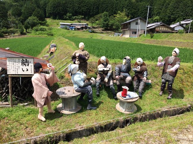 １日目大正村、岩村を巡って、2日目の今日は是非見たかった「かかし」を見に行きたいのですが場所が今一わかりません。ネットでも詳しい情報はなく、本当に行きつけるのかなあ。一応宿のスタッフにも聞いたけど、もうない、という意見もあり、いやある、という方もいます。簡単な地図を書いてもらい、行ってみることにしました。<br />そのあとは時間が余ったので、馬籠宿を散策してこの旅を終えました。