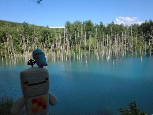 美瑛「青い池」7月の3連休は超コミ』美瑛（びえい）(北海道)の旅行記