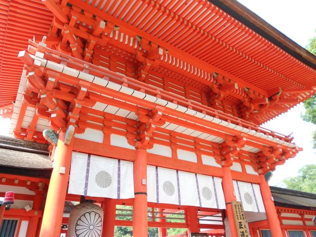 京都へ一人旅。<br /><br />京都駅からバスを乗り継ぎ、西本願寺、二条城、下鴨神社、<br />東寺を巡りました。<br />途中、事前に調べた人気のお店でグルメも堪能。<br /><br />日帰りでしたが、バスの乗り継ぎがうまくいき、スムーズに<br />充実した旅行を楽しむことができました！