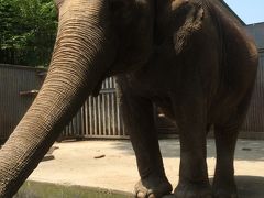 宇都宮動物園