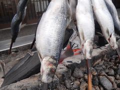 じめじめを避けて北海道①やっぱり大きかった