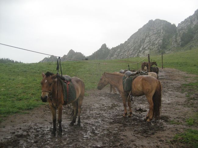 「モンゴルでは初心者でもたくさん乗馬ができる」と知ったのは去年のこと。<br /><br />旅行のベストシーズンは夏、関空からウランバートルへの直行便が出ているのは7・8月のみ、ということで1年間待ってモンゴルへ行ってきました。<br /><br />4トラのモンゴル旅行記を読みまくり、あるトラベラーさんが参加されたツアーがよさげだったので同じ旅行会社のツアーに参加。<br />といっても、他の参加者はおらず、ガイド&運転手をつけて個人旅行しているようでとっても気楽に楽しめました♪<br /><br /><日程><br /><br />1日目 13:00 関空 (OM506) 16:40 ウランバートル<br /> (ウランバートル泊)<br />2日目 ウランバートル → テレルジ (テレルジ泊)<br />3日目 テレルジで乗馬 (テレルジ泊)<br />4日目 チンギス・ハーンテーマパーク<br /> ウランバートル観光 (ウランバートル泊)<br />5日目 7:00 ウランバートル (OM505) 12:00 関空<br /><br />*******************************<br /><br />この旅行記は旅行2日目、雨でどうしようもなかったテレルジ編です。