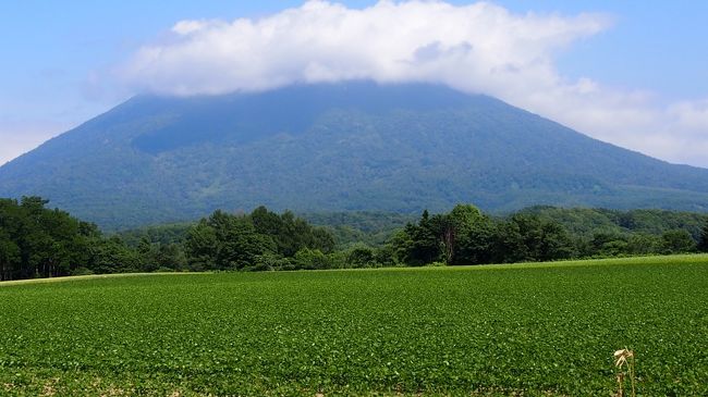 今年は不思議と長い梅雨の北海道で、晴れ男の証明をして<br /><br />４トラのみなさまと、しっかりヘベレケて参りました！<br /><br />鶴ちゃんのハイブリッドカーで77777ｋｍを達成して<br /><br />羊蹄山の周りをドライブして、美味しいソフトを食べて<br /><br />やっぱり最後は、ススキノでドボンしちゃった（笑）<br /><br />楽しかったね～♪美味しかったね～♪ヘベレケたね～♪また遊ぼうね～ん<br /><br />