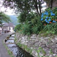 信州*湯の丸高原～野沢温泉～奥只見湖へ