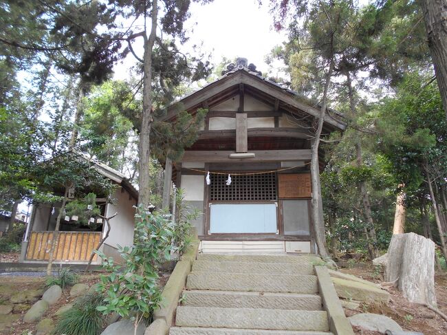 上越新幹線本庄早稲田駅北側を熊谷方向に歩き浅見山舌状地から平地に移る傾斜の地に武蔵七党の児玉党に属する荘太郎家長（しょう・たろう・いえなが、生没不詳）により勧請されたと伝えられる栗崎金鑚（くりさき・かなさな）神社（かなさなじんじゃ、埼玉県本庄市栗崎）があります。<br /><br />社殿への入口には小振りの鳥居が建ち、鳥居の前は新設の直線道路が走り、他方では樹林に覆われながらも歳月を耐えた社殿の佇まいを見やると新旧の対照ぶりを感じないわけには参りません。<br /><br />さて児玉郡に居住した児玉党一族は嫡流の荘氏を含む庶流に至るまで一族の守護神として金鑚神社を崇敬し自らの居住地には当該神社を勧請しており、栗崎の周辺（神川村二の宮、児玉町下浅見等）にも金鑚神社は存在していることから児玉党一族の勢力範囲を示すものとも言えます。<br /><br />尚、金鑚（かなさな）は古くは金佐奈とも金砂とも言われ砂鉄に関連した名前と考えられ近隣の神流川流域では刀剣の原料となる良質な砂鉄が採れたのではないかと伝えられています。<br /><br /><br /><br />２０２２年１１月２７日追記<br /><br />鳥居の脇に建てられた説明板には下記の如く紹介されています。<br /><br />『　金　鑚　神　社<br />　　　　　　　　　所在地　本庄市栗崎１５２<br /><br />当社の祭神は、天照大御神、素戔嗚尊、日本武尊である。<br /><br />社伝によると、児玉党の一族荘太郎家長により奉祭されたと伝えられ、昔から雨乞いの神様として知られている。<br /><br />また、金鑚神社の名称はこの付近でよく聞かれるが、これは児玉党の守護神にあたるためで党の勢力範囲を示すものでもある。金鑚は古くは金佐奈とも金砂ともいわれた。このことから金砂すなわち、砂鉄に関連した名所と考えられる。<br /><br />なお、当社の裏山には、県選定重要遺跡の有勝寺北裏埴輪窯跡がある。県内でも数少ない埴輪の窯跡である。<br /><br />　　昭和６１年３月<br />　　　　　　　　　　　　　　埼玉県　本庄市　』