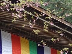 アイラブ仏像めぐり　湖東三山　西明寺　金剛輪寺　百済寺