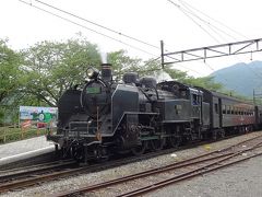 トーマス機関車見れればと大井川鉄道に出かけたが・・・・・