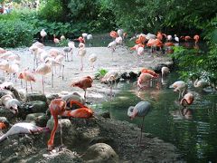 ミュンヘン動物園 Tierpark Hellabrunn