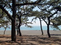 静岡家族旅行（2日目　三保の松原＆浜松城公園）