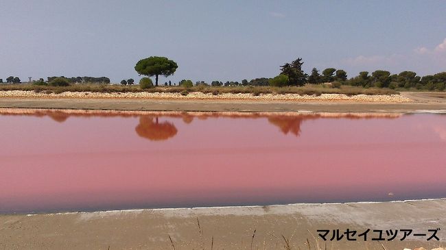 日本でも人気のカマルグの塩はアルルから50ｋｍ離れた城塞都市エッグ・モルトの傍にあります。ここにあるミディ塩田（Salins du Midi)でカマルグの塩は採収されます。このミディ塩田を見学するにはプチ・トランと四輪駆動が可能、フランスも今夏休み中ともあり着いた時は既にチケット売り場には長蛇の列が出来ていました。プチ・トランのチケット購入後、買い物をしているとあっという間にプチ・トランの出発の時間に、1時間30分のプチトランのツアーでは車内アナウンスで説明してくれる他数カ所で写真ストップ（城塞都市のエッグ・モルトが此処から綺麗に見れます）塩博物館の見学＆ブテックでもお買い物が楽しめます。ヨーロッパ一野生のピンクフラミンゴが生息する場所でもあるミディ塩田の広さはなんとサッカー場1300個分の広大な敷地、そこには278種類の野草と200種類の野鳥を見る事が出来ます。ピンク色に染まった塩田はとっても美しく見た人を幸せにしてくれます。ミディ塩田の見学は3月から11月2日まで。料金　大人　9ユーロ　子供（5〜13歳）7ユーロ　プチ・トランの時刻表　http://www.visitesalinsdecamargue.com/en-petit-train/