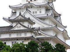 世界遺産の姫路城から本堂が国宝の太山寺へ