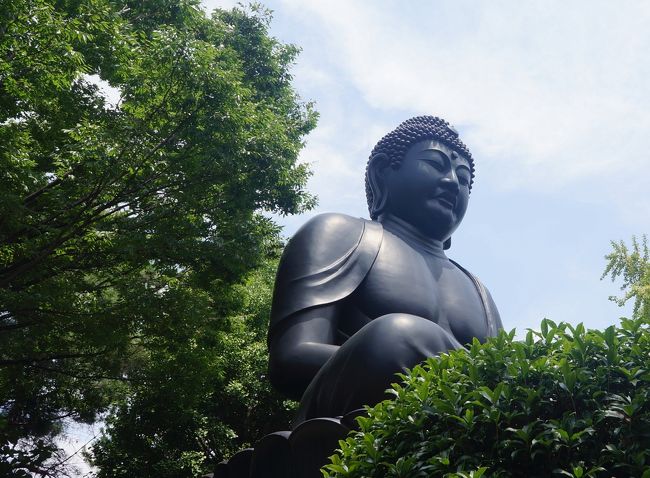 東京都板橋区にある乗蓮寺（東京大仏）。<br /><br />青銅製の鋳造大仏では、奈良・鎌倉に次ぐ日本で3番目の大きさと最近知って興味を持って、さっそく見てきた。<br /><br />戦国時代の赤塚城跡地にあり、その石碑もあった。<br /><br />墓地には植村直己の墓があったそうだ。<br /><br />国民栄誉賞も受賞した日本の冒険家で、戻った後に知って残念。