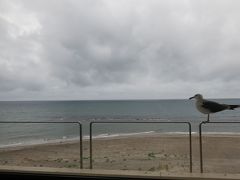 函館湯の川温泉・割烹旅館若松に泊まる