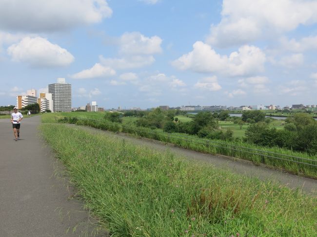 皆さんはJR東日本が提供している「えきぽ」というアプリをご存知ですか？これは関東近郊のJRの駅を起点としたウォークラリー情報をまとめたアプリなんです。それぞれのスポットを巡りGPS情報で踏破記録を付けていくとコースごとのスタンプがもらえる仕組みになっています。街歩きが好きなポジー的にはなかなか面白いアプリなので、時間があるときは「えきぽ」を使ってプラプラしています。<br /><br />えきぽで散策第８弾は京浜東北線の赤羽駅。このコースのふれこみは「赤羽界隈と荒川河川敷をのんびり歩く」です。赤羽といえば都内屈指の呑兵衛の街。繁華街を歩くと午前中から立ち飲み屋が賑わい、朝から酔っ払いだらけというなかなか香ばしい街です。そんな街の最寄駅を起点に荒川河川敷方面のぶらぶら歩く散策日記です。<br /><br />◆今回のぶらぶらスポット<br />・赤羽八幡神社<br />・赤羽緑道公園<br />・諏訪神社<br />・浮間橋の碑<br />・荒川河川敷<br />・荒川治水資料館（amoa）<br />・小山酒店<br />・赤羽スズラン通り商店街