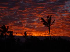 ALOHA！！HAWAII　家族旅　2014　今年で最後か？　2日目　ひたすら南下ドライブ編①（ブラックサンドビーチまで）