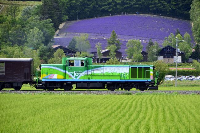 「北海道＆東日本パス」を利用して、夏の北海道（道央・道南地方）を巡るローカル線の旅を満喫してきました。<br /><br />--<br />夏の北海道を巡る旅 ～寝台急行はなます号に乗って北の大地に、そして厚別駅ワープ編～<br />http://4travel.jp/travelogue/10911468<br /><br />夏の北海道を巡る旅 ～美瑛・パノラマロードでサイクリングしてみた（前編）～<br />http://4travel.jp/travelogue/10911549<br /><br />夏の北海道を巡る旅 ～美瑛・パノラマロードでサイクリングしてみた（後編）～<br />http://4travel.jp/travelogue/10911777<br /><br />夏の北海道を巡る旅 ～富良野・ファーム富田の見渡す限りのラベンダーの絨毯を見に訪れてみた～<br />http://4travel.jp/travelogue/10912131<br /><br />夏の北海道を巡る旅 ～夏の富良野・美瑛ノロッコ号に乗って～<br />http://4travel.jp/travelogue/10912224<br /><br />夏の北海道を巡る旅 ～日高線に乗って優駿のサラブレッド達に会いに訪れてみた（前編）～<br />http://4travel.jp/travelogue/10912429<br /><br />夏の北海道を巡る旅 ～日高線に乗って優駿のサラブレッド達に会いに訪れてみた（後編）～<br />http://4travel.jp/travelogue/10912430<br /><br />夏の北海道を巡る旅 ～“キング・オブ・秘境駅”小幌駅に訪れてみた～<br />http://4travel.jp/travelogue/10913853<br /><br />夏の北海道を巡る旅 ～ローカル列車に乗って夏の北海道の新鮮な風を感じる車窓の旅を満喫してみた～<br />http://4travel.jp/travelogue/10913973<br /><br />夏の北海道を巡る旅 ～津軽海峡からの夜明けと夏のトラピスト修道院を見に訪れてみた～<br />http://4travel.jp/travelogue/10914079<br /><br />夏の北海道を巡る旅 ～（番外編）ちょっと変わった秘境駅、津軽今別駅に訪れてみた～<br />http://4travel.jp/travelogue/10914371<br />--<br /><br />富良野・ファーム富田の満開なラベンダー畑の絶景を満喫してきました。<br />