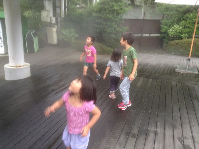 ここ数年、9月3日と9日生まれのYUMAとGENKIの誕生祝いを兼ねて箱根旅行が恒例となっているoneone一家です。<br />昨年は思い切ってジジ・ババ&YUMA・GENKIの4人の箱根でした。<br />GENKI一家は8月からドイツ駐在になりますので、本来なら9月のところ、早めの7月に誕生祝いです。<br />さて今年は、加えてHARUNA・ANNの女子組が参戦しました。7才、6才、4才、3才の大暴れ軍団です。と言うわけで、宿は気軽なヴィラージュ伊豆高原。リゾートマンション型の施設で、2ベッドルーム、リビング、キッチン付きですから、多少賑やかでも大丈夫です。もちろん、食事は、調理器具を借りての部屋での自炊のグリル料理です。一休comの貯まったポイントを使ったら2万円からお釣りが来ました。お風呂は温泉ですが、ゆっくり浸かったのはジジ・ババだけで、子供達はプールのシャワーでおしまいです。<br /><br />しばらくこんな大にぎわいの旅行もお預けですので、ジジ・ババは老骨に鞭打って頑張りました。