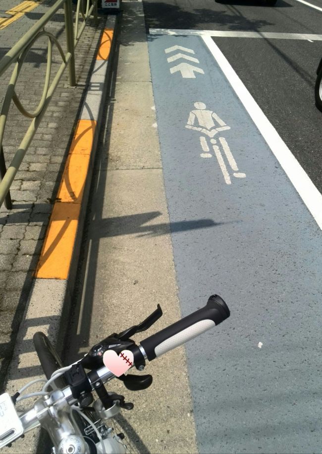 ダイエット目的の為にクロスバイクで都内を移動中^_^;<br />もちろん友達の家にも漕いで行きます<br /><br />神田明神下から１７号(本郷通り)へ入って行きます<br />本郷弥生の次の信号で大きい道と細い道に分かれます<br />真っ直ぐ大きい道に行くと１７号から外れてしまうので左の道を選択<br />やがて１７号は再び広い道となります<br />とげぬき地蔵入口の信号から商店街をひたすら真っ直ぐ進み<br />セブンイレブンのある信号を左に曲がりゲオをこえて板橋駅東口前に到着　