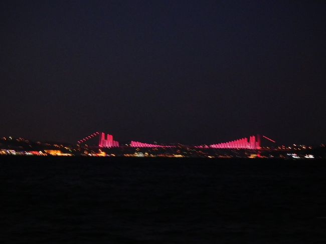 ターキッシュ・エアーライン(以前のトルコ航空)でナポリからの帰国の途上、イスタンブールを経由しての道のりだったのでチョコっと市街探索に行ってきました。今回のイスタンブールは、夕方5時頃に到着しての翌日1時発までの僅か数時間でしたので、博物館に入るわけでもなく、駆け足での散歩感覚でした。
