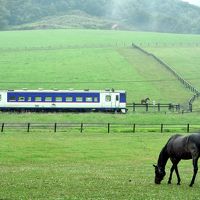 夏の北海道を巡る旅 ～日高線に乗って優駿のサラブレッド達に会いに訪れてみた（後編）～