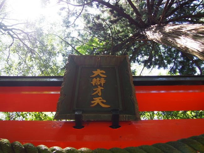 久しぶりに奈良へ行こうと考えました。<br /><br />奈良の霊山寺(りょうせんじ)、最近テレビで放映されたことを思い出しました。<br /><br />奈良市の郊外、富雄川沿いにあり、その本堂が国宝の霊山寺、まだ奥之院には行ったことがありません。<br /><br />奥之院、歩けるようであれば行ってみようと思います。<br /><br />【写真は、奥之院の鳥居と御神木です。】