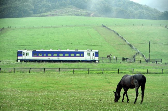 「北海道＆東日本パス」を利用して、夏の北海道（道央・道南地方）を巡るローカル線の旅を満喫してきました。<br /><br />--<br />夏の北海道を巡る旅 ～寝台急行はなます号に乗って北の大地に、そして厚別駅ワープ編～<br />http://4travel.jp/travelogue/10911468<br /><br />夏の北海道を巡る旅 ～美瑛・パノラマロードでサイクリングしてみた（前編）～<br />http://4travel.jp/travelogue/10911549<br /><br />夏の北海道を巡る旅 ～美瑛・パノラマロードでサイクリングしてみた（後編）～<br />http://4travel.jp/travelogue/10911777<br /><br />夏の北海道を巡る旅 ～富良野・ファーム富田の見渡す限りのラベンダーの絨毯を見に訪れてみた～<br />http://4travel.jp/travelogue/10912131<br /><br />夏の北海道を巡る旅 ～夏の富良野・美瑛ノロッコ号に乗って～<br />http://4travel.jp/travelogue/10912224<br /><br />夏の北海道を巡る旅 ～日高線に乗って優駿のサラブレッド達に会いに訪れてみた（前編）～<br />http://4travel.jp/travelogue/10912429<br /><br />夏の北海道を巡る旅 ～日高線に乗って優駿のサラブレッド達に会いに訪れてみた（後編）～<br />http://4travel.jp/travelogue/10912430<br /><br />夏の北海道を巡る旅 ～“キング・オブ・秘境駅”小幌駅に訪れてみた～<br />http://4travel.jp/travelogue/10913853<br /><br />夏の北海道を巡る旅 ～ローカル列車に乗って夏の北海道の新鮮な風を感じる車窓の旅を満喫してみた～<br />http://4travel.jp/travelogue/10913973<br /><br />夏の北海道を巡る旅 ～津軽海峡からの夜明けと夏のトラピスト修道院を見に訪れてみた～<br />http://4travel.jp/travelogue/10914079<br /><br />夏の北海道を巡る旅 ～（番外編）ちょっと変わった秘境駅、津軽今別駅に訪れてみた～<br />http://4travel.jp/travelogue/10914371<br />--<br /><br />日高線に乗って、日高のサラブレッド達に会いに訪れてみました。