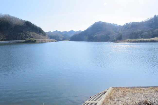 那珂川町でフラワーウォッチングを楽しんだ後、常陸大宮市の那珂川でバードウォッチングを楽しみました。<br /><br />表紙写真は、那珂川の支流相川にある御前山ダムの風景です。