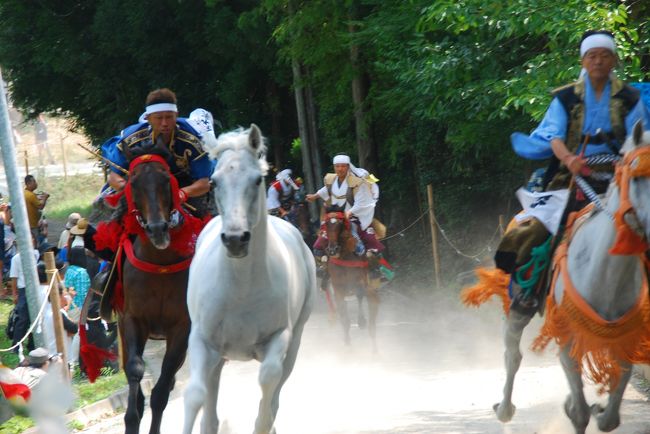 東北地方の夏祭りの巻頭を飾る相馬野馬追祭、今年は7月26日、27日、28日の3日間に渡り開催されました。<br />最終日に行われる小高神社の「野馬懸」は、野馬追い祭りの中でも昔の名残をとどめている唯一の神事です。<br />数十騎の騎馬武者が裸馬を境内に設けた竹矢来（たけやらい）に追い込み、白鉢巻に白装束の御小人と呼ばれる者たちが多くの馬の中から思し召しにかなう荒駒を素手で捕らえて神前に奉納するという古式に則った行事です。<br /><br />なお、南相馬市の小高地区は、東京電力福島第一原発事故の影響で、３年以上経過した現在も居住することが出来ません。<br />今年は、野馬追い祭りの期間と、お盆休みをいれて７月と８月の２９日間が特別に住むことができるそうです。<br />福島県内はもとより、遠く埼玉や千葉からお帰りになられてこの行事に参加されておられる方々とお話しできましたが、原発事故の恐ろしさ、放射能の半減期、国の対応の遅さ、原発再稼働問題、多々考えさせられた１日でした。<br />