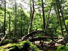 【岩稜・苔】これぞ北八ヶ岳　蓼科山～北横岳縦走