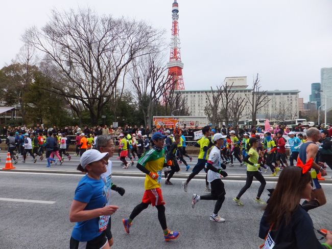 東京マラソン、続いては芝公園周辺での応援です。