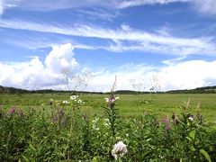 高層湿原の花々に惑わされ、遭難寸前に！？(苦笑）：八島ヶ原湿原から蓼科へ