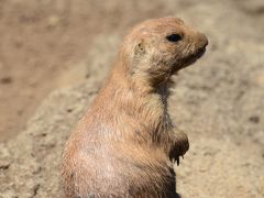 江戸川区自然動物公園