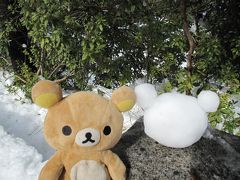 ２０年に一度の大雪！　雪の小江戸川越見て来たクマ