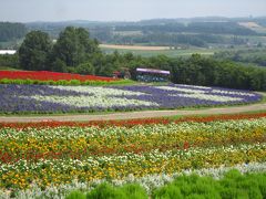 富良野の花畑へ行ってきたよ ☆d(o⌒∇⌒o)b ♪　でも、ラベンダーはもう刈り取り時期(´∵｀) 