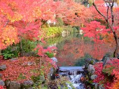 京都の紅葉をひたすらめぐる旅