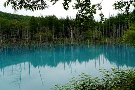2014.7富良野へラベンダーを見に行く5-三愛の丘，美瑛青い池，日新ダム