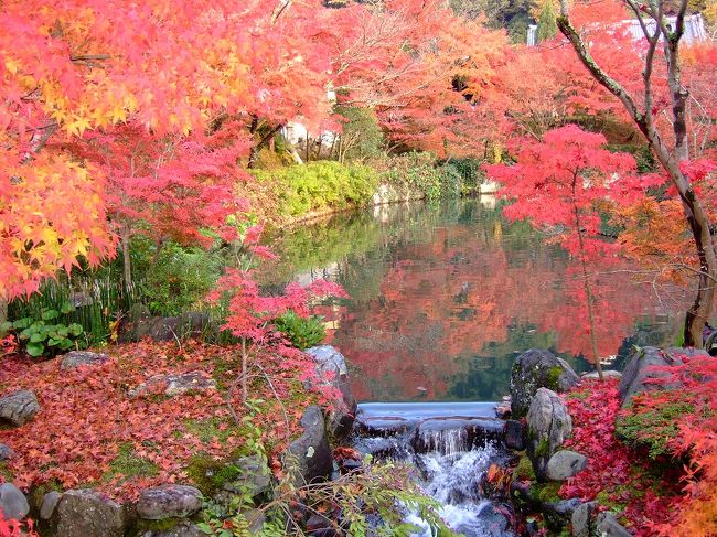 ずっと憧れていた京都の紅葉。<br />哲学の道→永観堂→南禅寺→高雄→嵐山→常寂光寺→渡月橋→東福寺<br /><br />紅葉たくさんみてお腹いっぱいの旅でした。