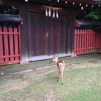 1泊2日 ライブで広島旅行