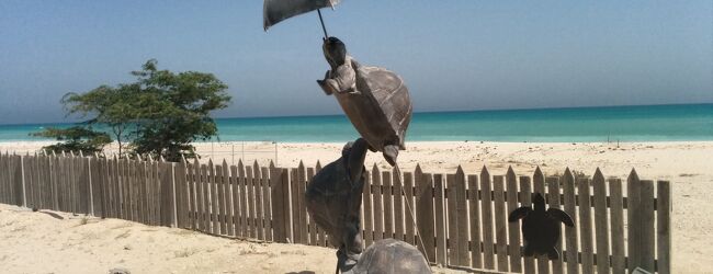 キーシュ 旅行 クチコミガイド フォートラベル イラン Kish