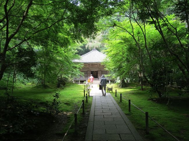 円通寺は、瑞巌寺に隣接した臨済宗のお寺で、伊達政宗の嫡孫・伊達光宗の霊廟として１６４７年に開基しています。光宗の霊廟は、円通院の１番奥にあり「三慧殿」といいます。光宗は、伊達家第２代藩主忠宗と徳川家第２代藩主秀忠の娘・振姫との間に生まれています。幼少の頃より文武に優れ、その才智は徳川幕府にとって恐るべき逸材であったといいます。光宗は、江戸城内において１９才という若さで亡くなり、その死因に関しては毒殺説と病死説が伝えられています。<br /><br />霊廟は、伊達家第２代藩主忠宗によって建立されたもので、宮殿型の厨子の中には、白馬に跨る衣冠束帯の光宗の像と殉死した七人の像が祀られています。宮殿型の厨子の扉の中も見どころで、支倉六右衛門常長が西欧より持ち帰った文化を模様として描き、当時鎖国制度を行った徳川幕府に対して、伊達家の霊廟と申し立て、その厨子の扉を開けることはなかったといいます。「三慧殿」は国の重要文化財に指定されています。<br /><br />円通院の庭も見どころです。山門を入ってすぐ左手に、「枯山水の庭」があり、本堂正面には江戸屋敷より移設した「小堀遠州作の庭」が、その奥にはローマを象徴する花にちなんで「バラの庭」が、そして杉林の中には美しい自然庭園になっている「禅林瞑想の庭」が続きます。特に「枯山水の庭」はじっくり見学したい。この庭は、石庭「天の庭」と「地の庭」で構成されており、「天の庭」は須弥山を中心に松島湾に実在する七福神の島を表しています。松島湾を白砂、白砂の中に岩（七福神の島）、周囲の山々はコケで表しています。「地の庭」は人生を表しています。石で、生まれたままの割り肌から叩かれ、磨かれ成長する様を三種類の仕上げで表しています。