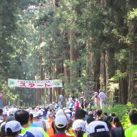 東武動物公園を経由して第９回日光杉並木マラソンに参加してきました。