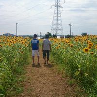 夏だ　プールだ　芝政ワールド