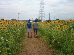 夏だ　プールだ　芝政ワールド